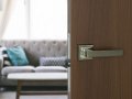 Дверная ручка PALLADIUM A Dakota AB античная бронза